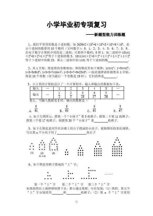 【.2020小升初数学新题型能力训练题