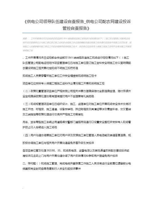 供电公司领导队伍建设自查报告_供电公司配农网建设投诉管控自查报告