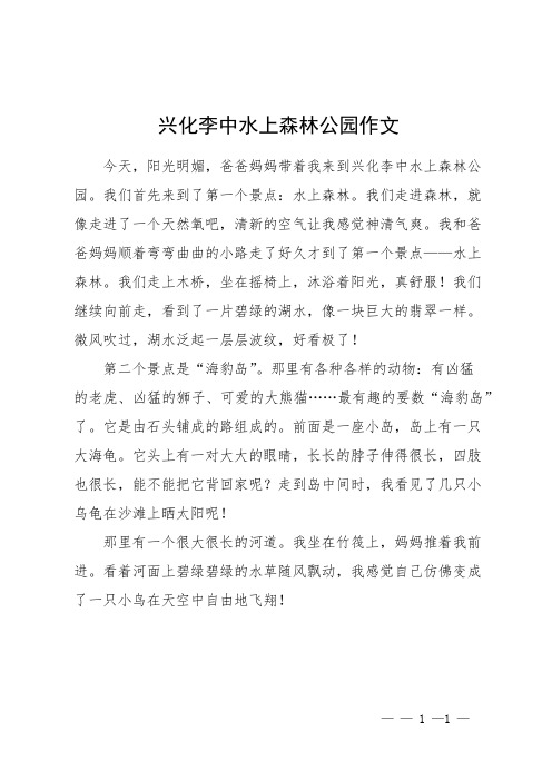 兴化李中水上森林公园作文