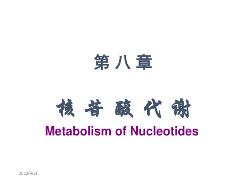 第九章核苷酸代谢