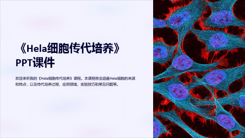 《Hela细胞传代培养》课件