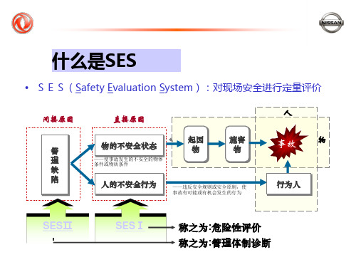 SES安全评价简介