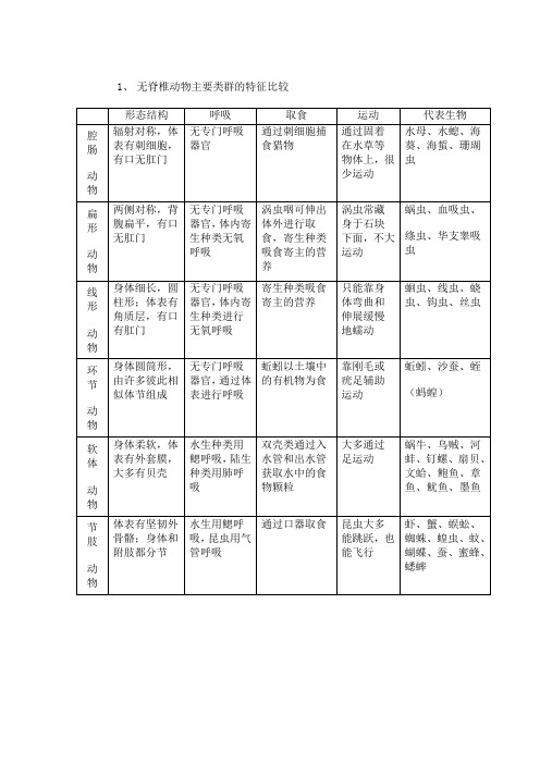 动物的主要类群总结