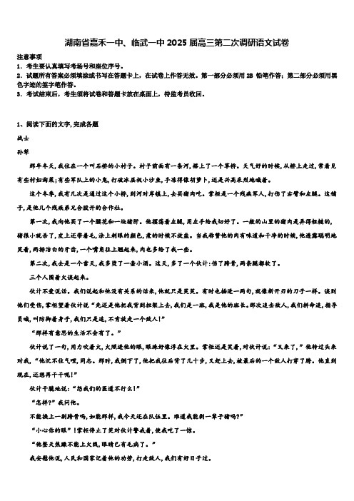 湖南省嘉禾一中、临武一中2025届高三第二次调研语文试卷含解析