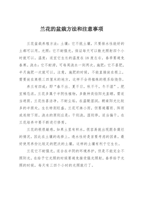 兰花的盆栽方法和注意事项