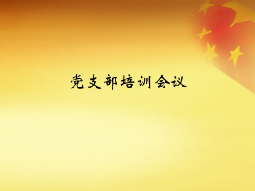 党支部培训_党团建设_党团工作_实用文档.pptx