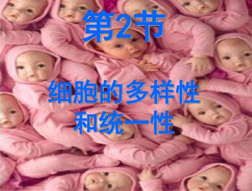细胞的多样性和统一性