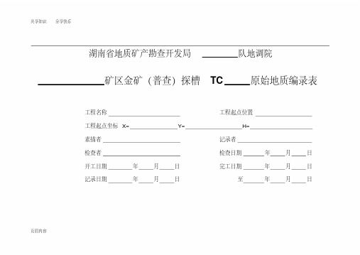 探槽编录表格(全)