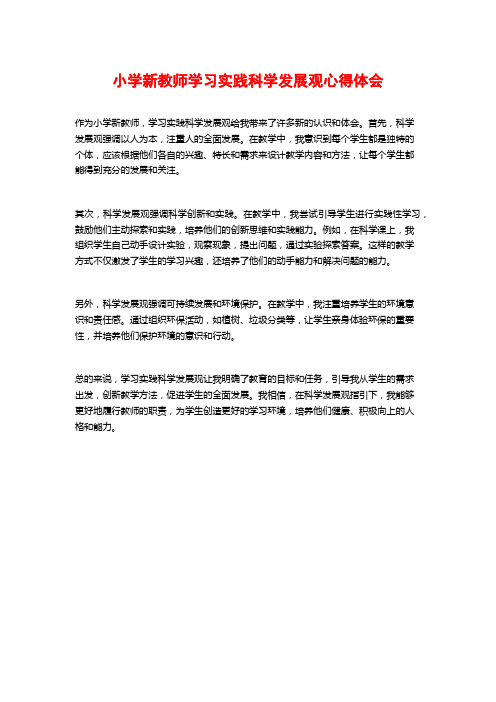 小学新教师学习实践科学发展观心得体会