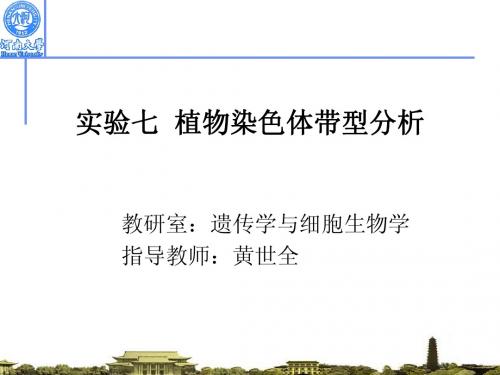 实验七 植物染色体带型分析
