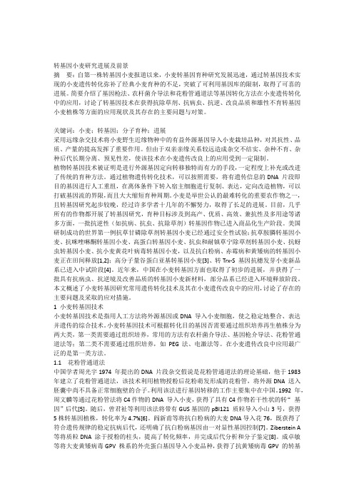 小麦转基因研究进展