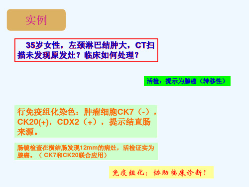 免疫组织化学染色技术