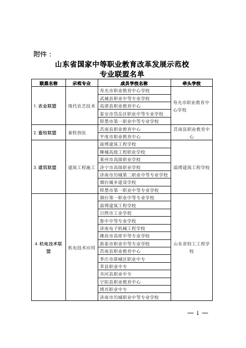 山东省国家中等职业教育改革发展示范校专业联盟名单