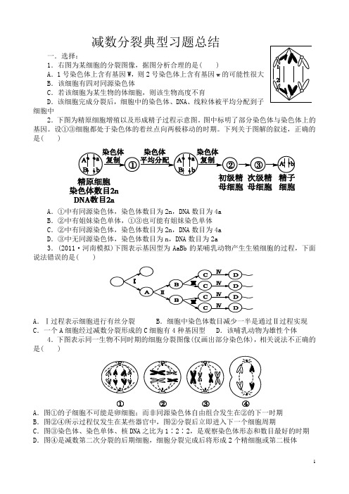 题型全_超实用的减数分裂习题总结