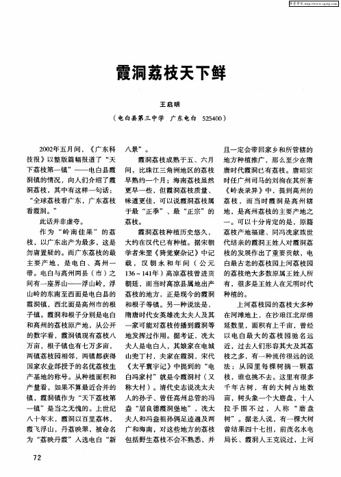 霞洞荔枝天下鲜