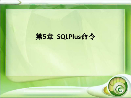 Oracle数据库基础及应用第05章SQLPlus命令