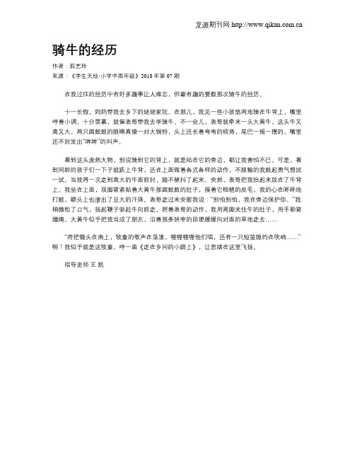 骑牛的经历
