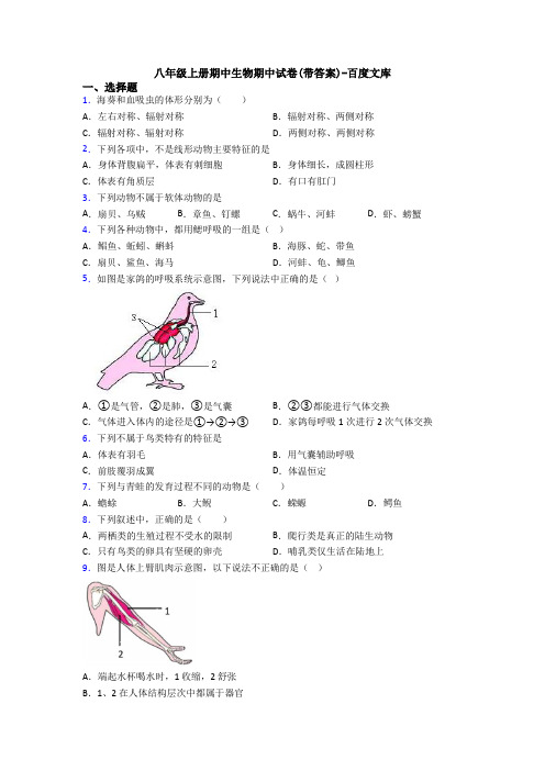 八年级上册期中生物期中试卷(带答案)-百度文库