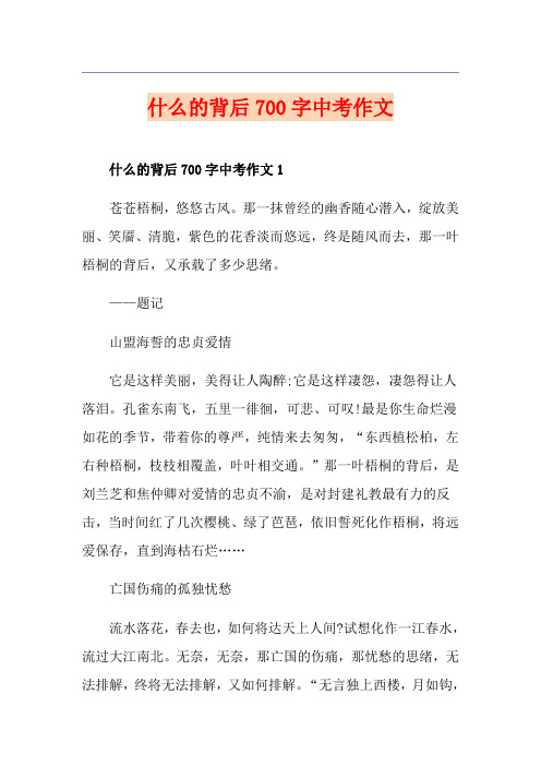 什么的背后700字中考作文