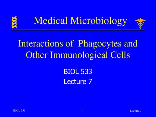 微生物学美国IndianaUniversityPurdueUniversity授课07