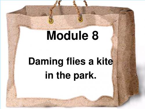 小学英语三年级下册外研版(三起)Module 8 Unit 2 Daming flies a kite in the park公开课课件