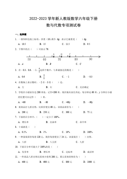 2022-2023学年新人教版数学六年级下册数与代数专项测试卷(附参考答案)