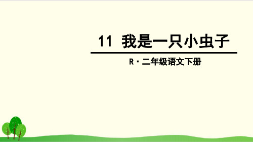 部编教材二年级下册语文《我是一只小虫子》PPT完整版