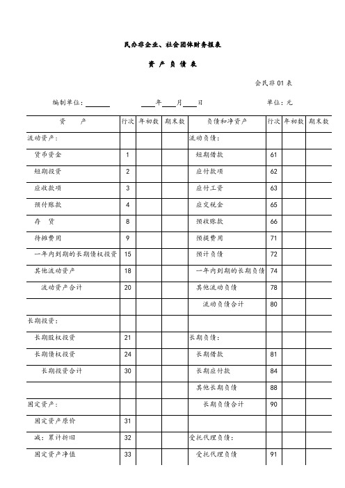 社会团体财务报表