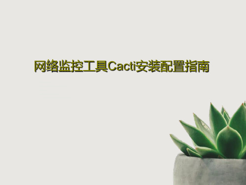 网络监控工具Cacti安装配置指南共35页PPT