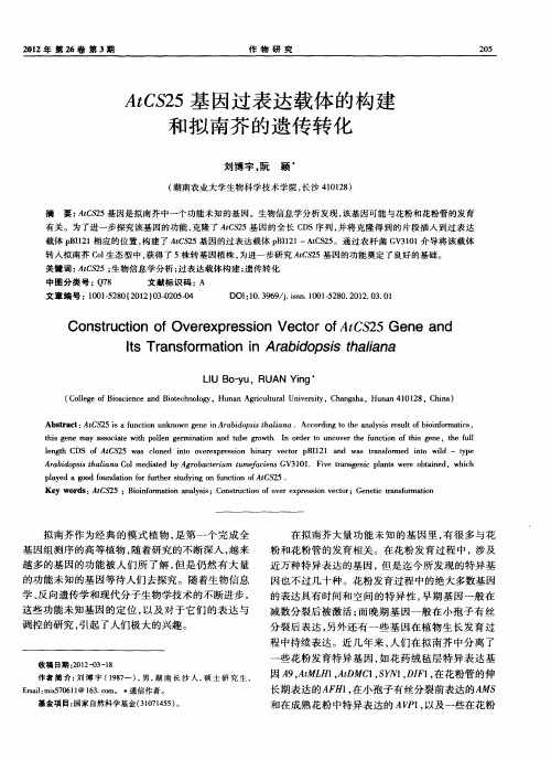 AtCS25基因过表达载体的构建和拟南芥的遗传转化