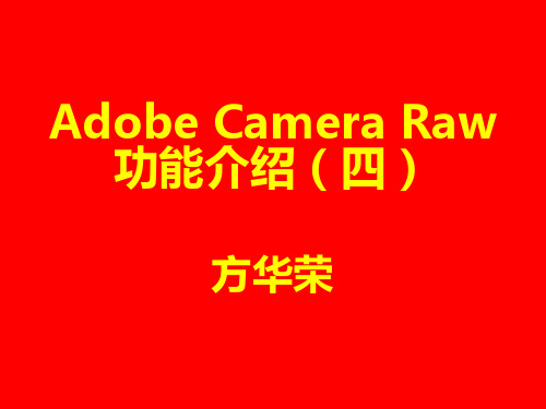 Adobe Camera Raw功能介绍(四)