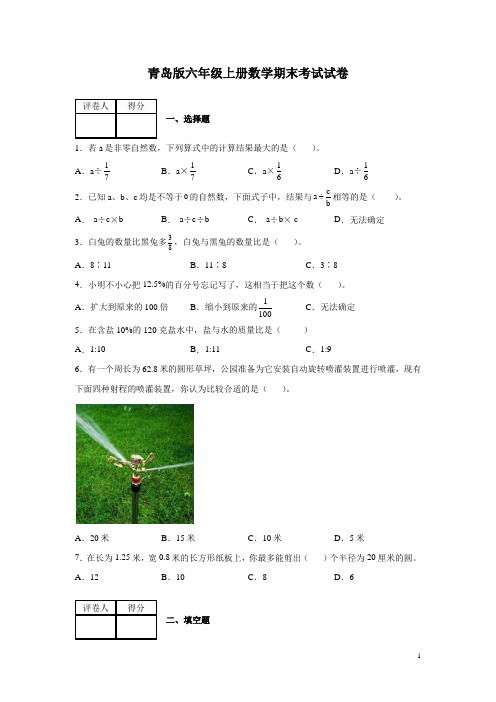 青岛版六年级上册数学期末考试试题含答案