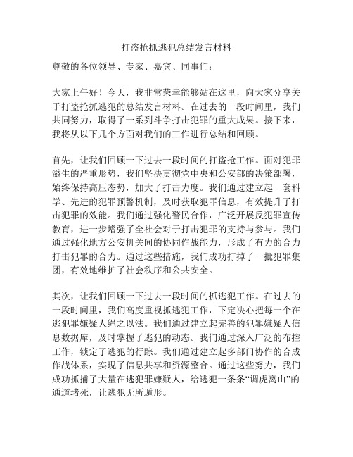 打盗抢抓逃犯总结发言材料