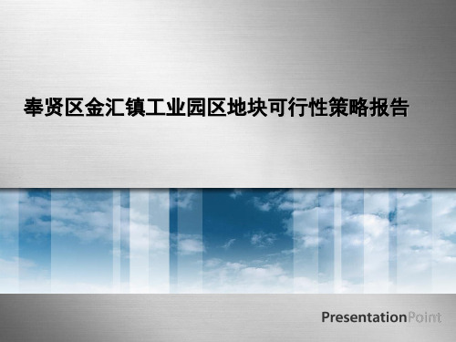 可研报告-产业园-2010年上海奉贤区金汇镇工业园区地块可行性策略报告