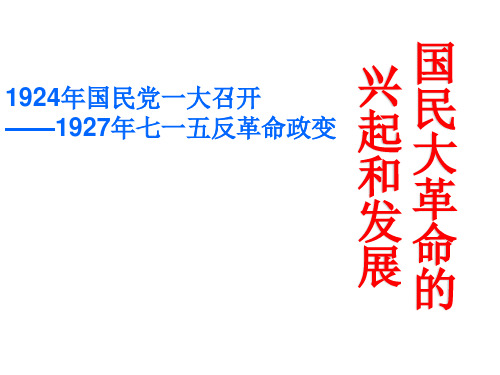 高考历史备考重点名校精品课件——第六章国民大革命一轮复习