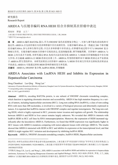 ARID1A与长链非编码RNA HEIH结合并抑制其在肝癌中表达