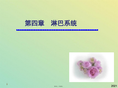 解剖淋巴系统(共12张PPT)