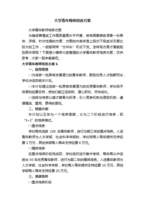 大学青年教师培养方案