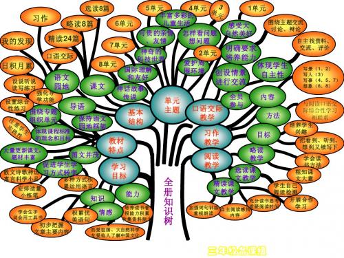 三年级下册全册知识树