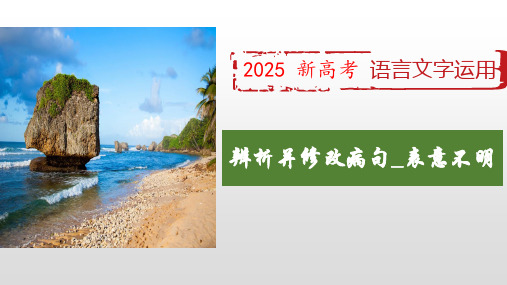 2025届高考语文复习：辨析并修改病句之表意不明+课件