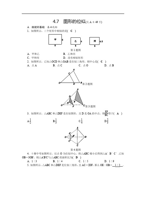 九年级数学上册 第4章 相似三角形 4.7 图形的位似练习 (新版)浙教版