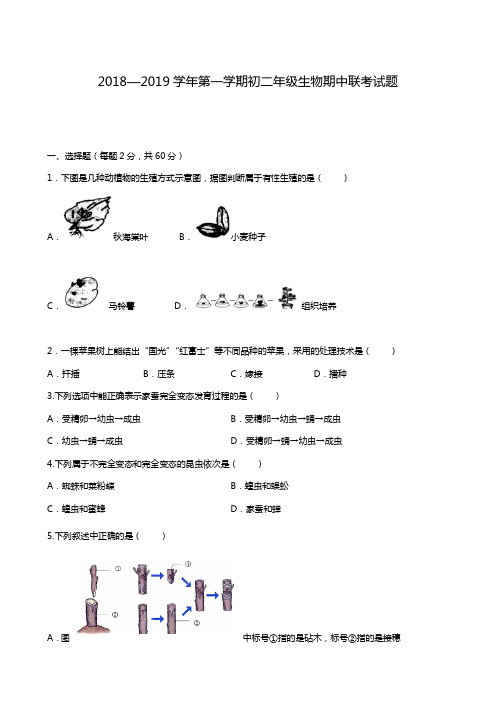 内蒙古鄂尔多斯市东胜区第二中学2018-2019学年八年级上学期期中考试生物试题