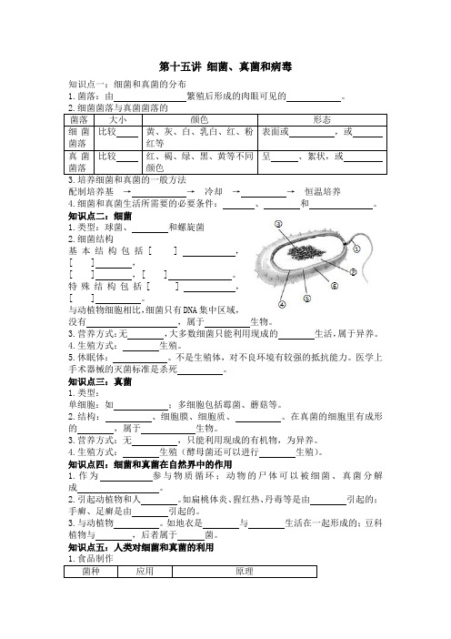 2024年生物中考一轮复习专项训练：第十五讲 细菌、真菌和病毒