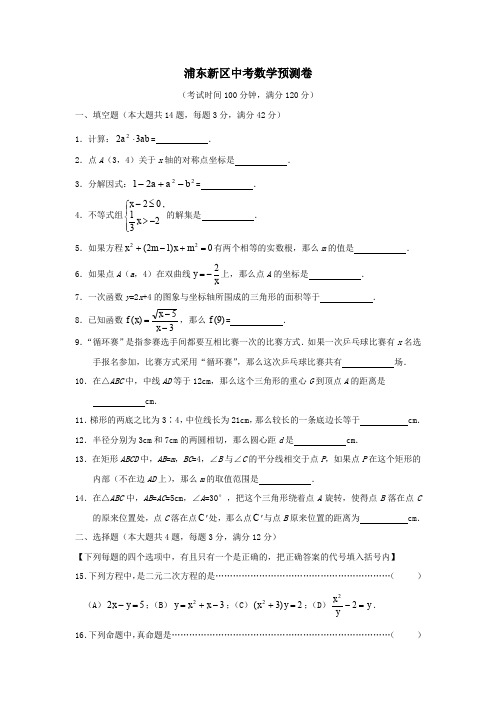 浦东新区中考数学预测卷