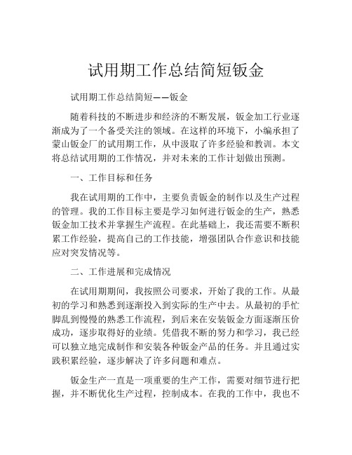 试用期工作总结简短钣金