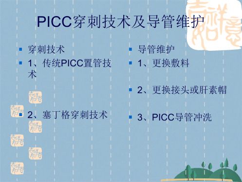 PICC穿刺技术及导管(共99张PPT)