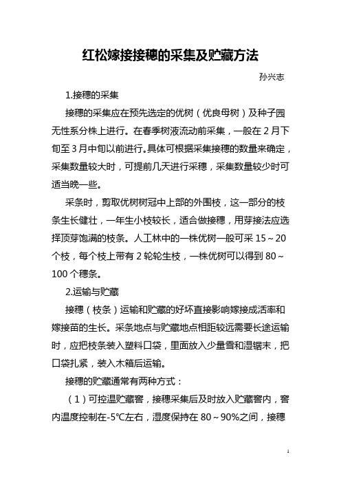 红松嫁接接穗的采集及贮藏方法