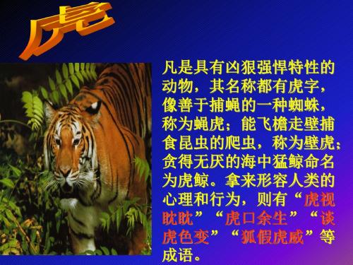 【最新】人教版七年级语文下册《华南虎》精品教学课件