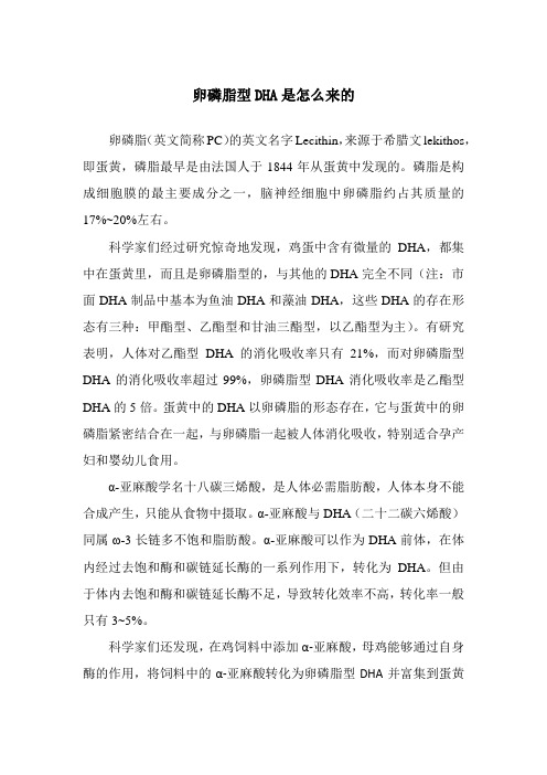 卵磷脂型DHA是怎么来的