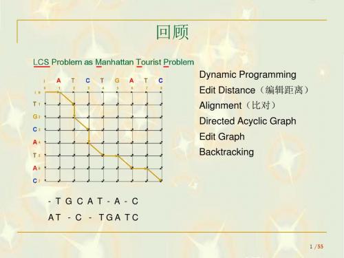 动态规划法——双序列比对.ppt